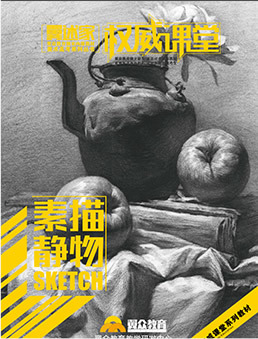 出版書(shū)籍8